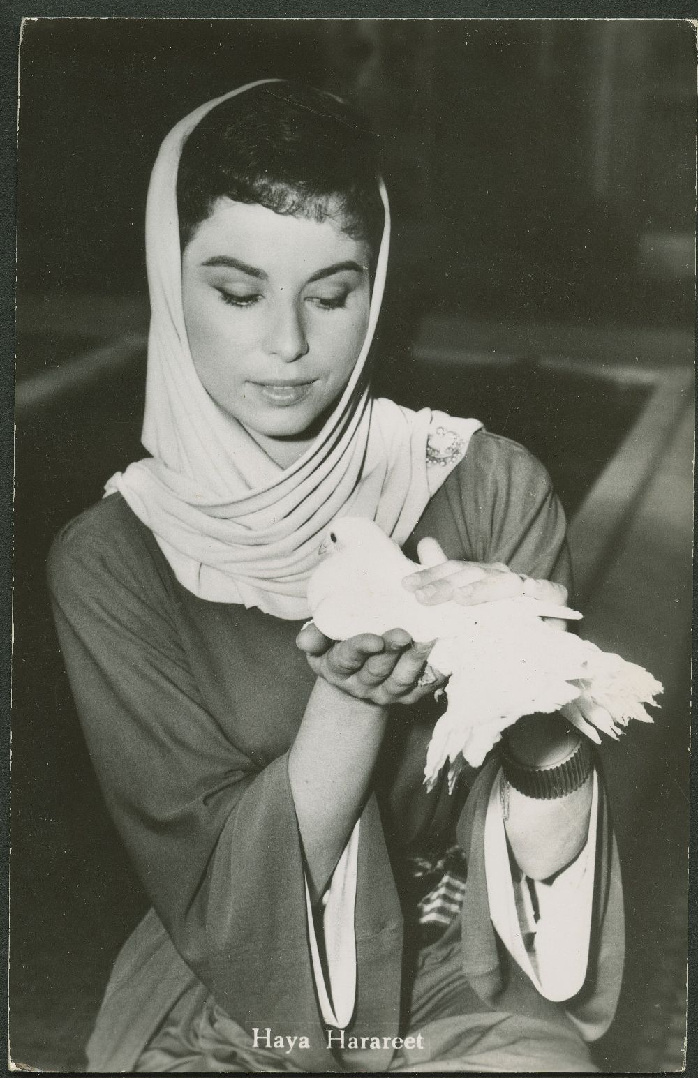 (image for) Haya Harareet#0008